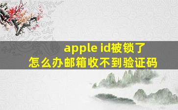 apple id被锁了怎么办邮箱收不到验证码